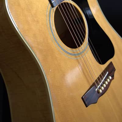 Guild D-44M 1972 - 1978 - Natural image 2