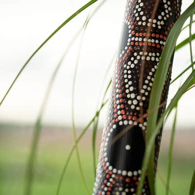 Meinl Sonic Energy Bamboo Rainstick Medium - Dot Painted/Black image 3
