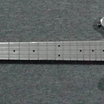 2010 Electrical Guitar Company Custom 12 string left handed bass w/TKL i-series case  Aluminum image 3