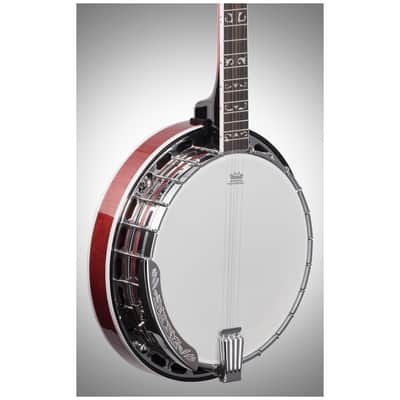 Washburn B16K Banjo with Case image 3