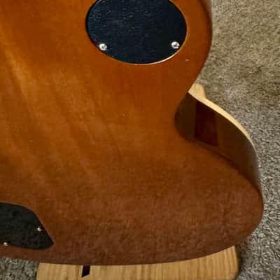 Gibson Les Paul Standard 2017 tobacoo Burst Slash pick ups image 6