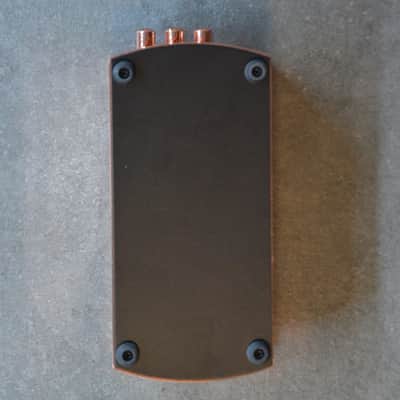 Ernie Ball P0-6184 Ambient Delay - Copper image 12