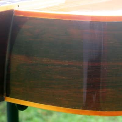 1976 Takamine Elite TW100 Jacaranda Body Natural+Vintage Hard Case image 14