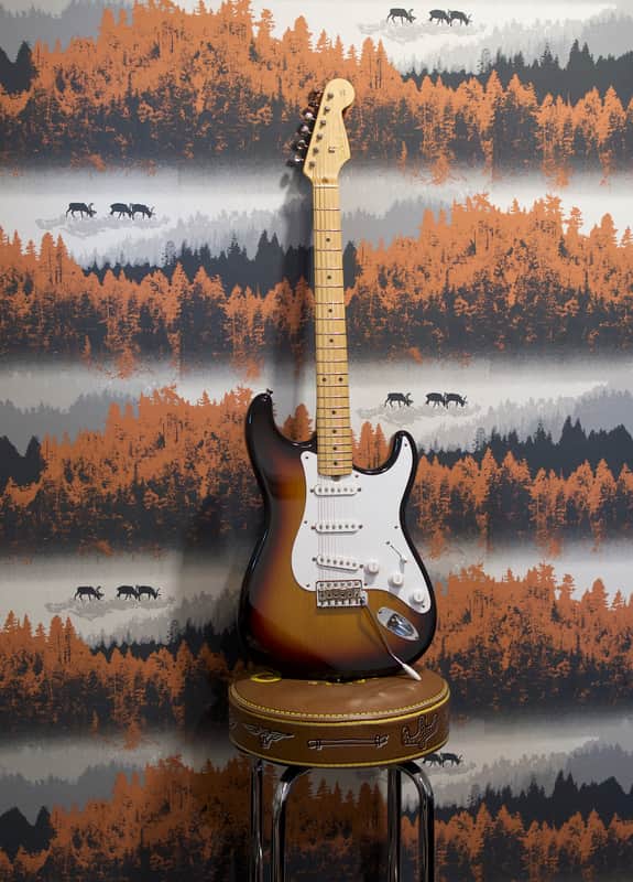 Tokai TST-50 Japan + Tokai Hard Case | Reverb France