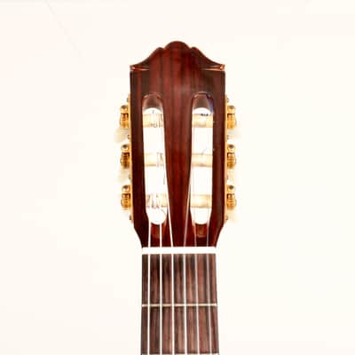 Yamaha GD-10 Grand Concert Classical Guitar, Solid Spruce, IRW image 10