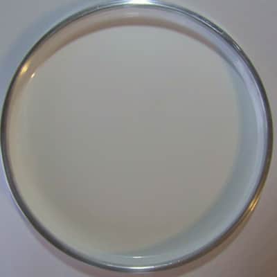Hand Drum Percussion Tambourine Durable Plastic Head 12" Replacement image 4