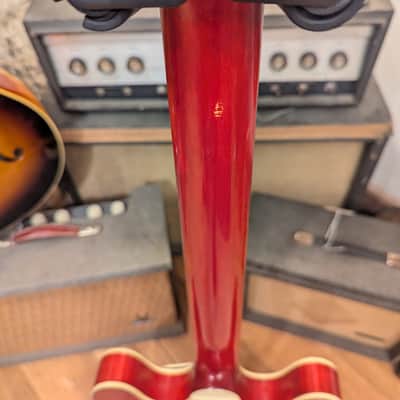 Eastman T59/VRD 2021 - Red Antique Varnish image 8