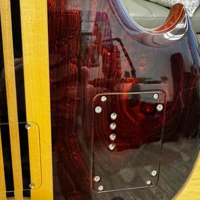 Alembic Series II - The Roman Conqueror 2004 - Cocobolo image 10