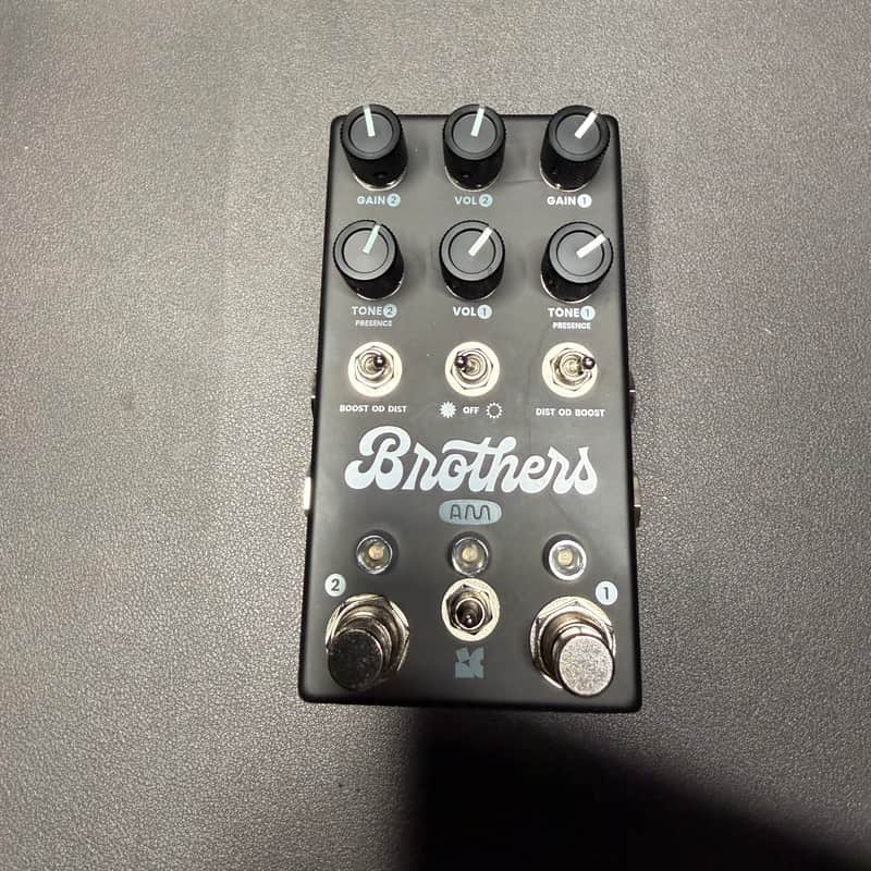 Chase Bliss Audio Brothers AM