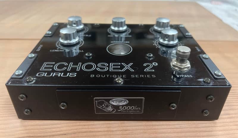 Early Gurus Echosex 2 Echorec Replica image 1