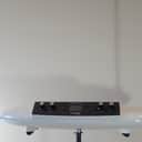 Moog Theremini 2018 - White