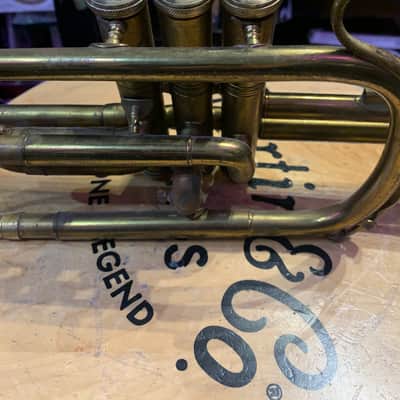 Hakam Din & Sons Cornet image 3