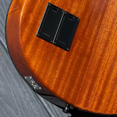Citron AE-4 Swallow Bass 2009  - killer all around invention from Harvey Citron of Velette-Citron Basses. image 15