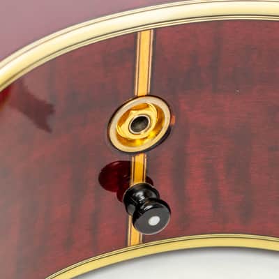 Daion The Year Series '81 Caribou - Wine Red (WR) - Electric Acoustic Six String image 21