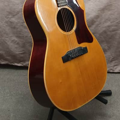 Gibson B-25 1966 - Natural image 2