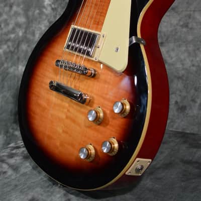 Epiphone Les Paul Standard 60's Bourbon Burst w/ FREE Same Day Shipping image 6