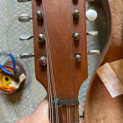 Unknown Bowlback Mandolin (needs nut) image 2