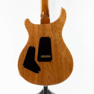 PRS Custom 24 2025 - Carroll Blue image 5