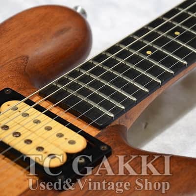 Spector USA G 1 image 3