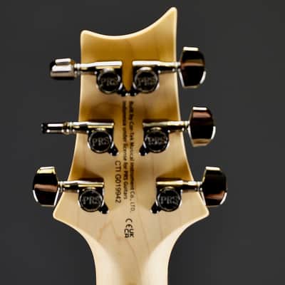 PRS SE Swamp Ash CE 24 Sandblasted Blue Limited Edition image 9