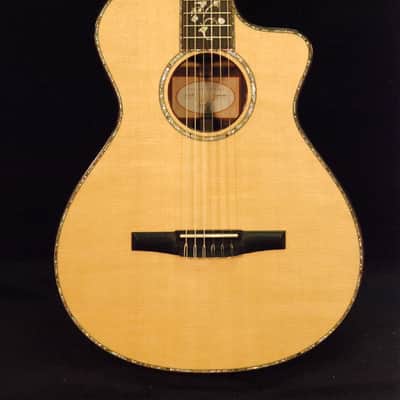 Taylor 912ce-N Nylon Acoustic-Electric Guitar image 1