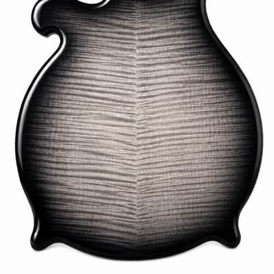 Weymann®   - G Bass - Official Replacement Body - USA Made - Solid Body Electric BASS Guitar imagen 4