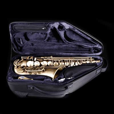 Selmer Paris 82SIGF Professional Alto Saxophone, Vintage Matte image 12