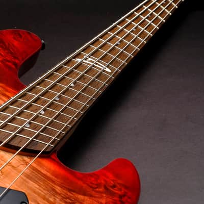 Dingwall Super Jazz 5 2024 - Natural to Blood red image 5