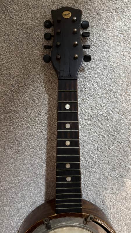 Victoria Mandolin Banjo 1920’s