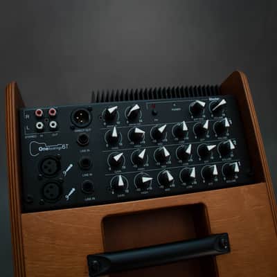 Acus Sound Engineering One For Strings 6T 120w Acoustic Guitar Amplifier w/Bag - Preowned image 4