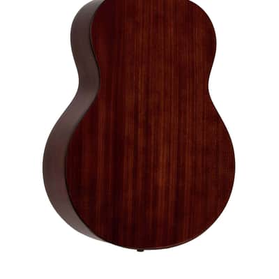 GOLD TONE TG-10 4-string Tenor GUITAR new w/ Haed Case - Spruce Top image 9