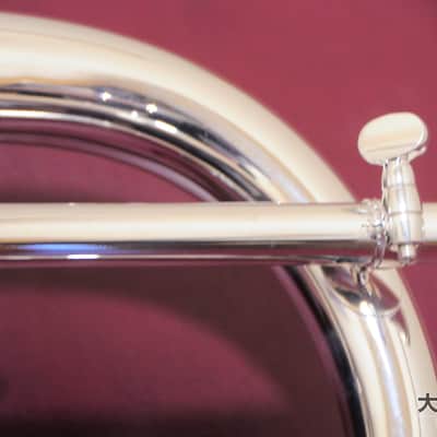 Brasspire Unicorn BPFG-850BS Black Nickel Trim (NEW) Flugelhorn image 9