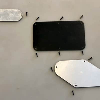 PEAVEY® USA WOLFGANG STANDARD BACK CONTROL PLATES WITH SCREWS =VAN HALEN= image 2