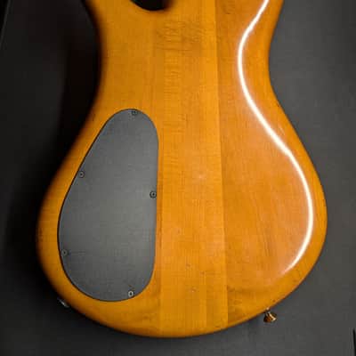 Spector Euro 4 Doug Wimbish Signature - Amber Relic Finish - LIMITED EDITION 2026 image 4
