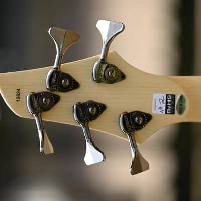 Dingwall NG2 Adam "Nolly" Getgood Signature 5 String - Matte Celestial Blue image 5