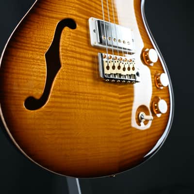 PRS DGT Semi-Hollow w/ Birds 10-Top McCarty Tobacco Sunburst #495 image 12