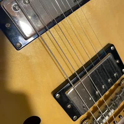 Epiphone Dot 2013 image 19