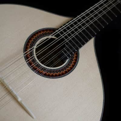 Junio Americo 10-String Mandolin | Brazil image 5