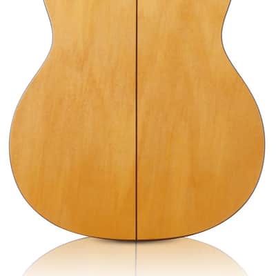 Cordoba F7 - Great Intermediate Level Flamenco Guitar! - Cypress Back/Sides image 2