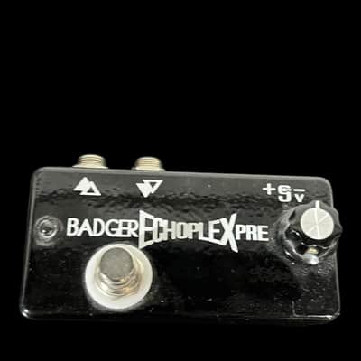 Badger Echoplex PRE Prototype image 1