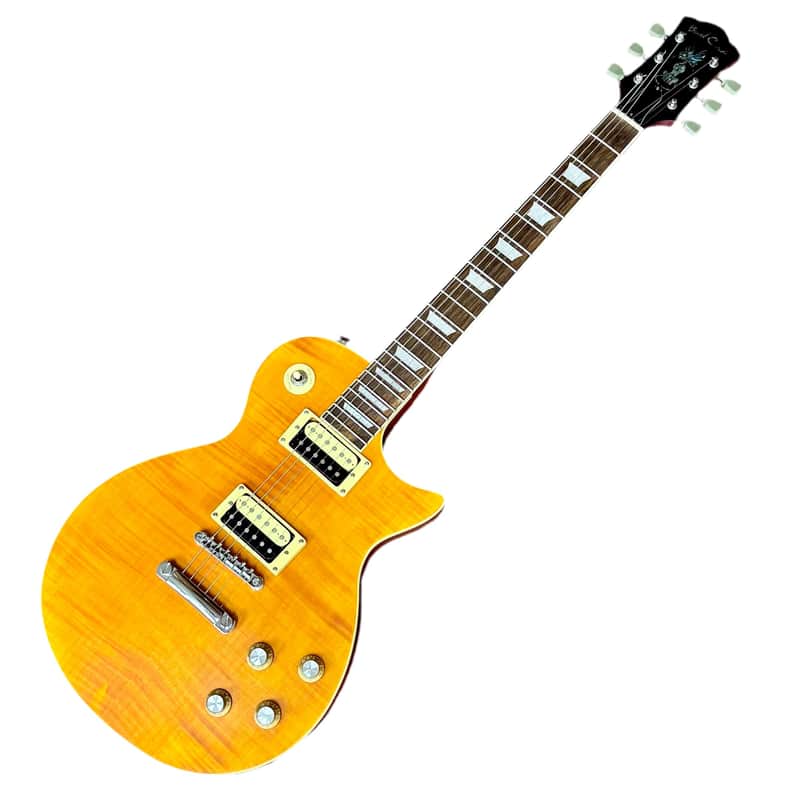 Bad Cat Bad Cat Instruments Les Paul Style Electric Guitar image 1