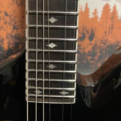 ESP LTD SD-2 Sammy Duet Signature + ESP Hard Case image 18