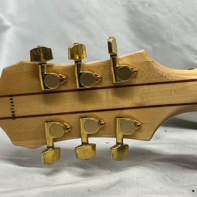 Epiphone Sheraton Semi-Hollow Body Electric Guitar image 9