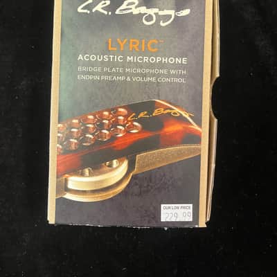 LR Baggs Lyric Acoustic Microphone System - BRAND NEW image 1