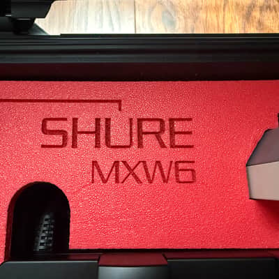 Shure MXW6/O Wireless Mics & Jason Case imagen 4
