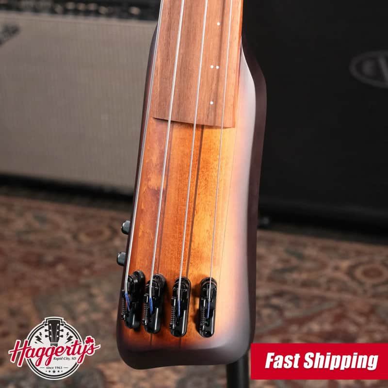 Ibanez UB804 Upswing Upright Bass | Reverb