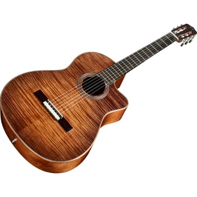 Cordoba Fusion 12 Acoustic Electric Guitar - Cinnamon Burst image 5