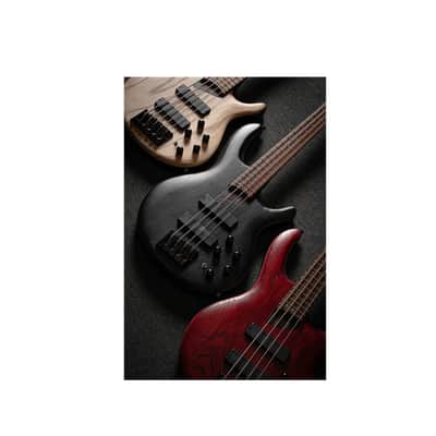 Cort Professional 4-String Bass Guitar Element - Open Pore Trans Black image 8