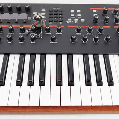 DSI Dave Smith Sequential Prophet 12 Synthesizer + Top Zustand + 1,5J Garantie image 3