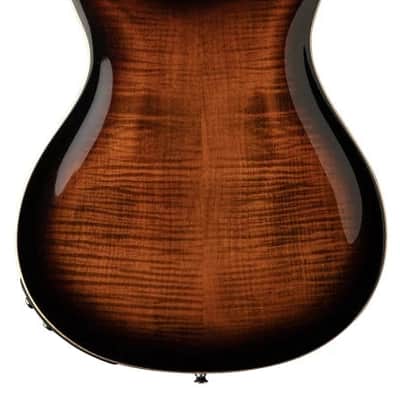 PRS SE Hollowbody II Piezo (Orange Tiger Smokeburst) image 2